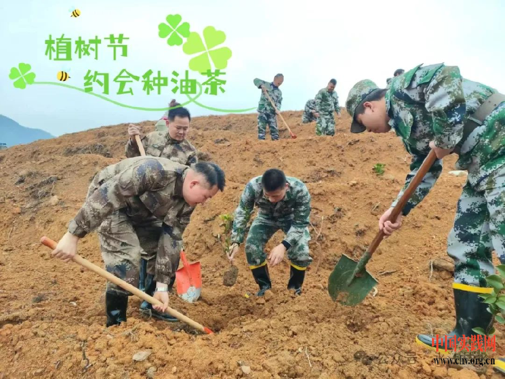 油茶种植正当时——水江镇植树节 为油茶产业增新添绿