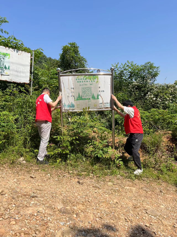 景德镇市昌江区委第二巡察组联合鲇鱼山镇新柳村整治人居环境