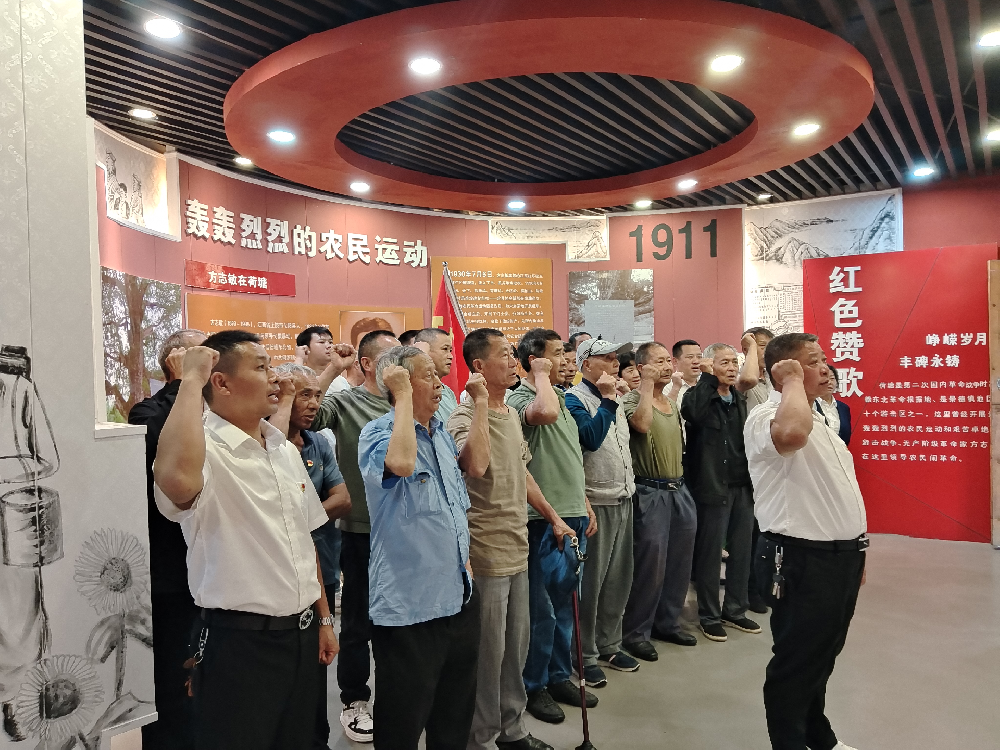 景德镇市鲇鱼山镇慈义村：开展党纪学习教育走深走实主题党日活动