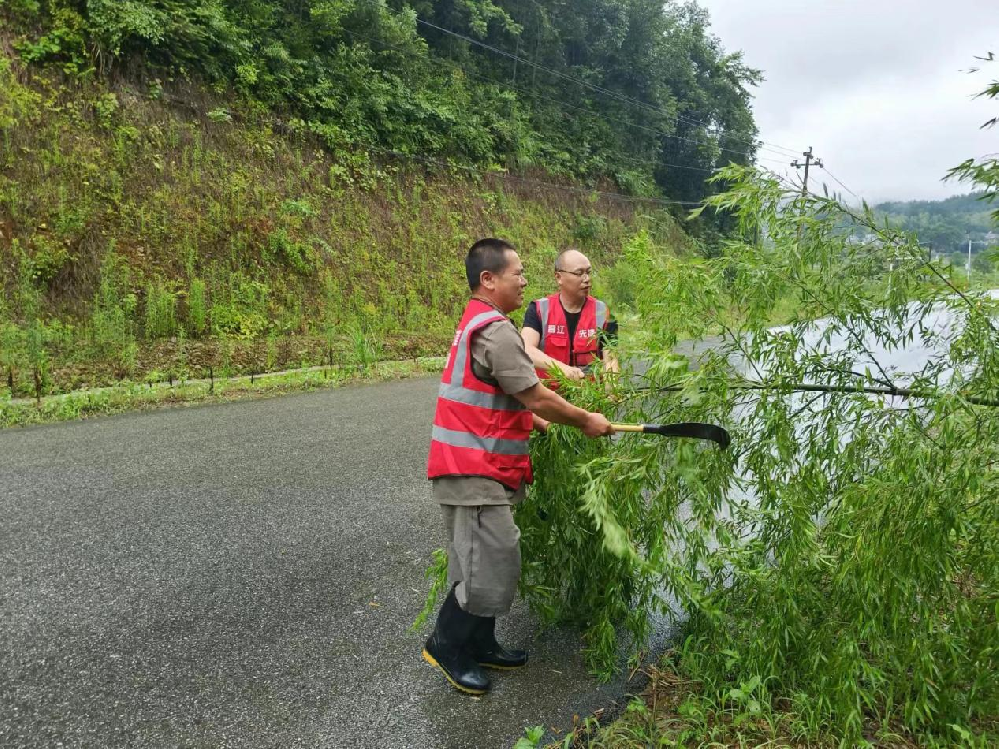 景德镇昌江区荷塘乡仓下村：闻“汛”而动  全力做好  防汛工作