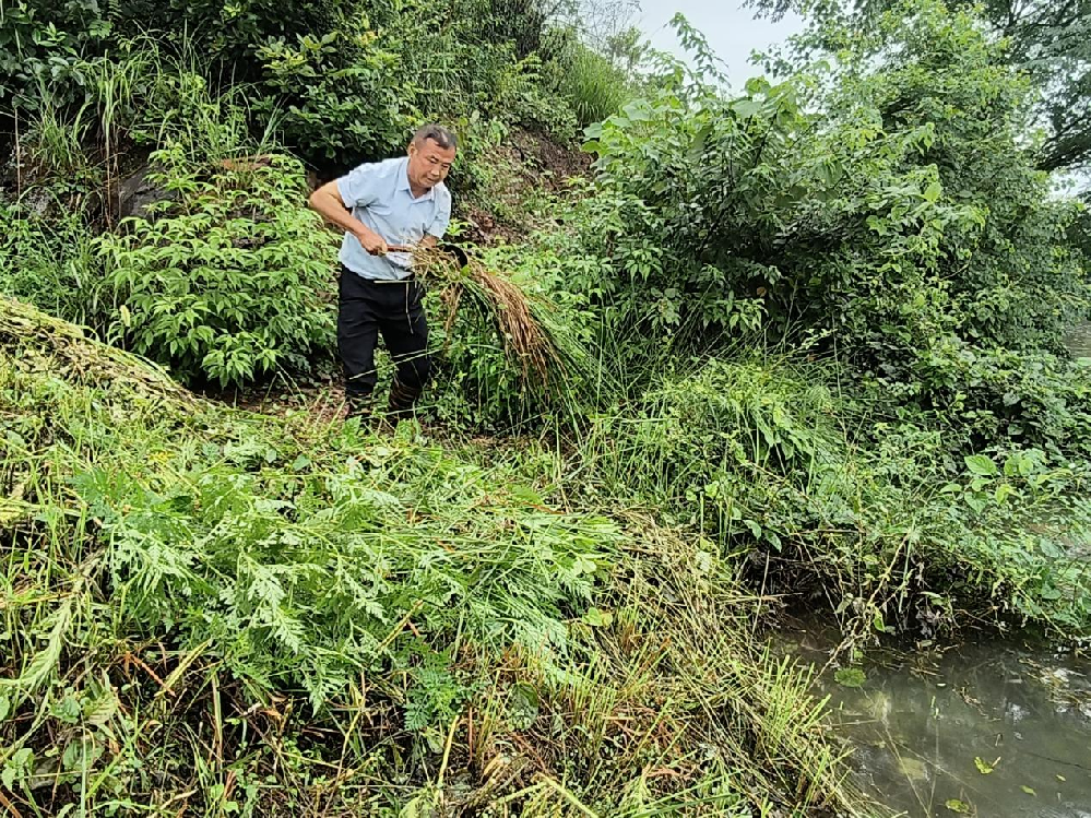 鲇鱼山镇鱼山村：暴雨如注守堤防 心系村民护安宁